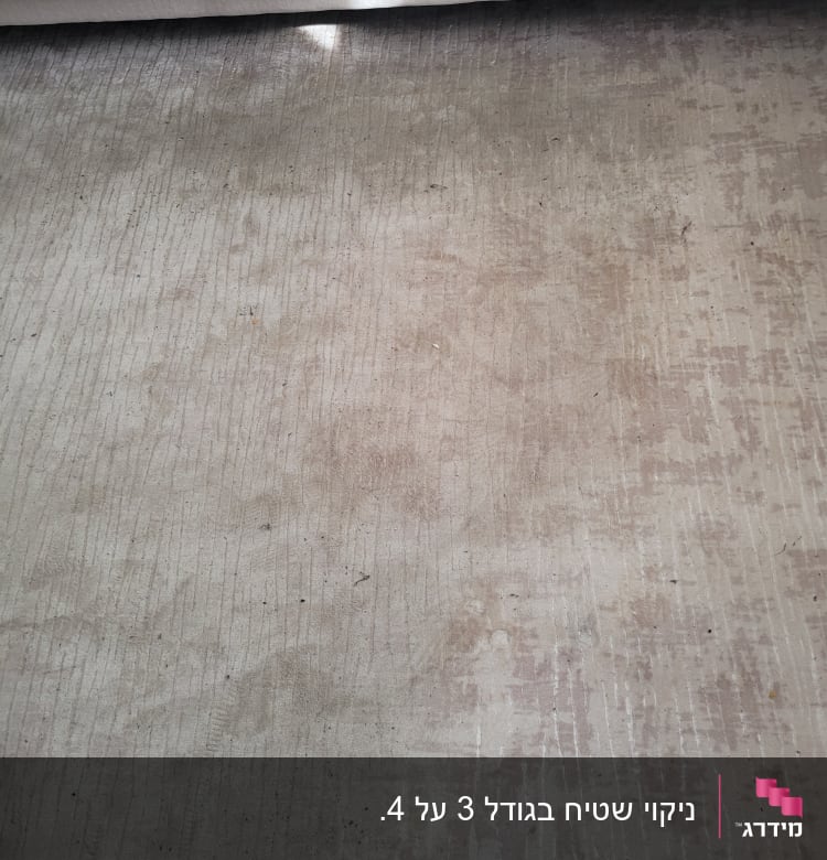 שטיח מלוכלך עם כתמים ליד ספה בהירה